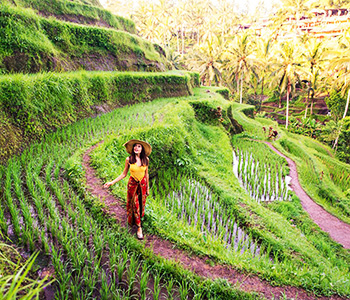 Tour Agent Bali | Bali Tour Packages | Bali Activities