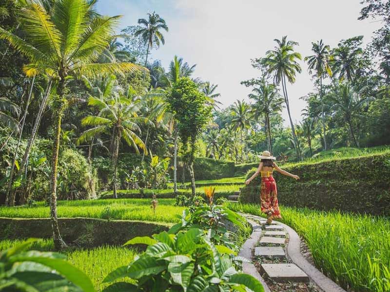 Bali ATV and Ubud Tour