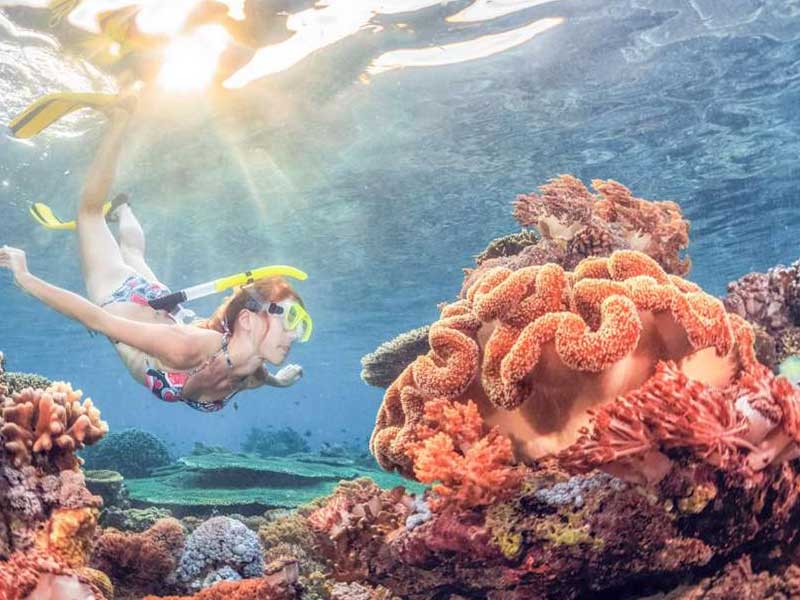 Snorkeling at Blue Lagoon